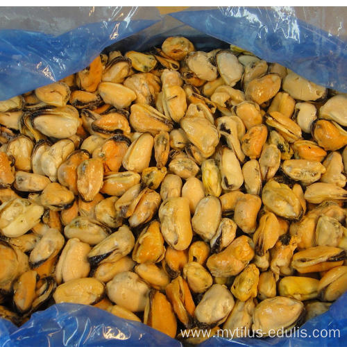 seafood frozen fresh iqf mussel meat Mytilus Edulis